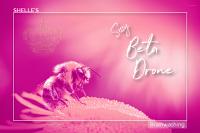 Sissy Beta Drone Sissy Beta Drone