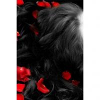 The Sleeping Forest - Part 2