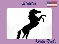 Stallion