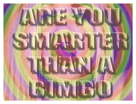 Are You Smarter Than a BIMBO