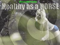 Healthy as a Horse Healthy as a Horse