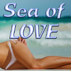 Sea of LOVE Sea of LOVE