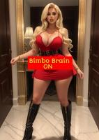 Bimbo Brain ON Bimbo Brain ON