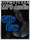 Silly Boy Silly Boy