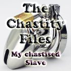 The Chastity Files - My Chastised Slave The Chastity Files - My Chastised Slave