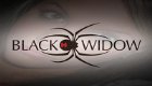 Black Widow Black Widow